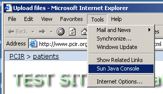 how to turn on Java Console in IE